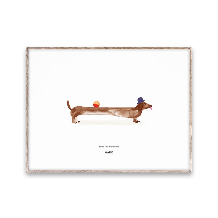 Plakat Doug the Dachshund, 30x40 cm Paper Collective