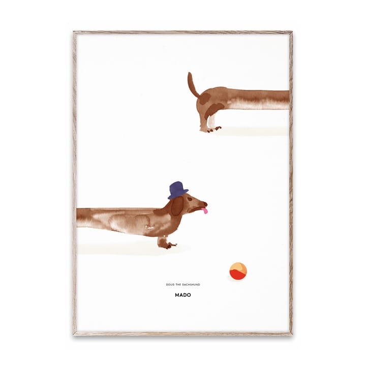 Plakat Doug the Dachshund, 50x70 cm Paper Collective
