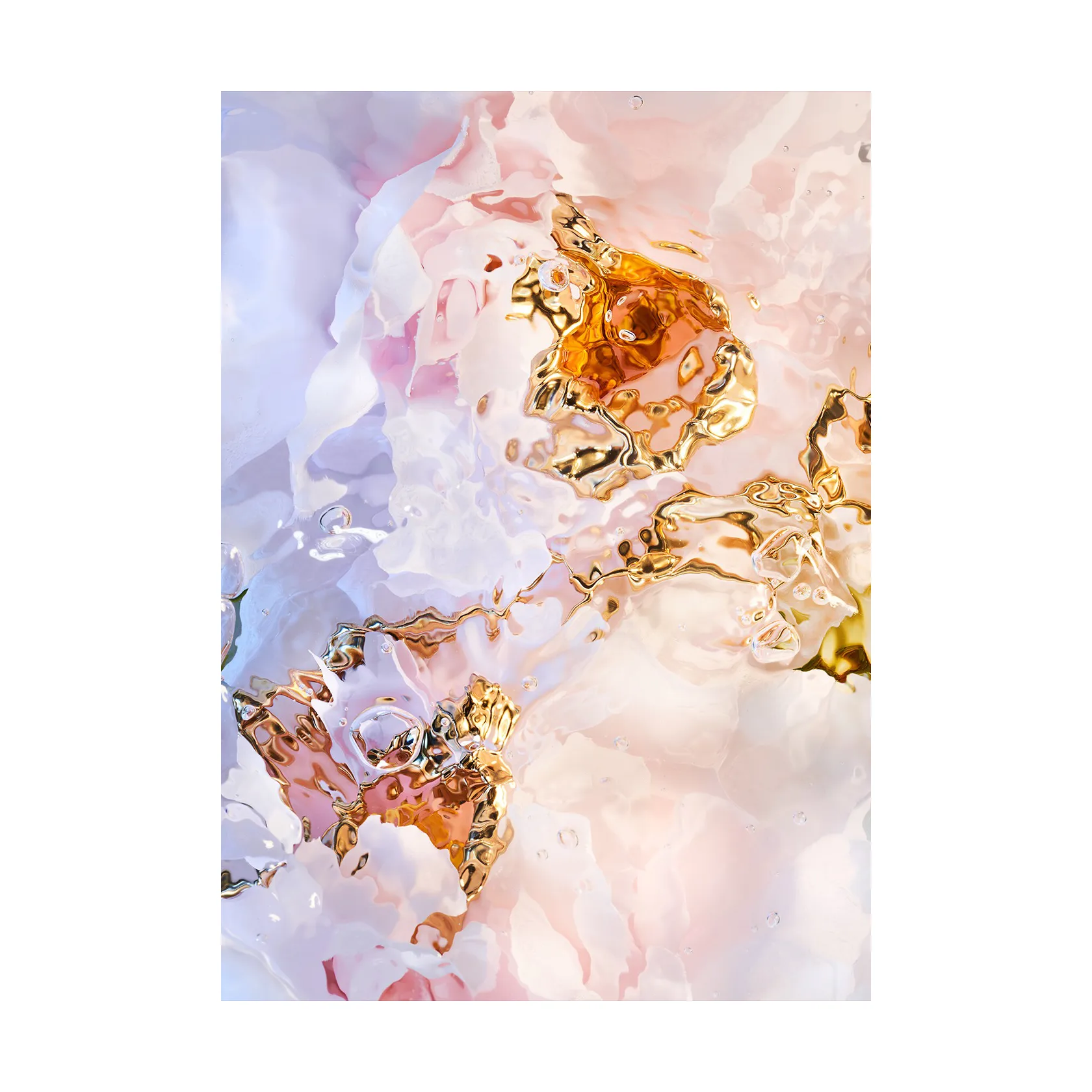 Plakat Flora Aquatica 03, 50x70 cm Paper Collective