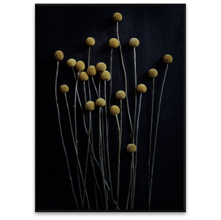 Plakat Still Life 01 Yellow Drumsticks, 50x70 cm Paper Collective