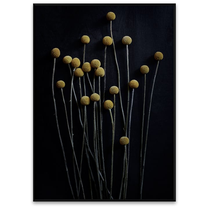 Plakat Still Life 01 Yellow Drumsticks - 50x70 cm - Paper Collective