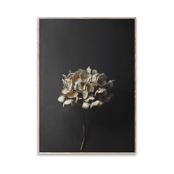 Plakat Still Life 04 Hydrangea - 30x40 cm - Paper Collective
