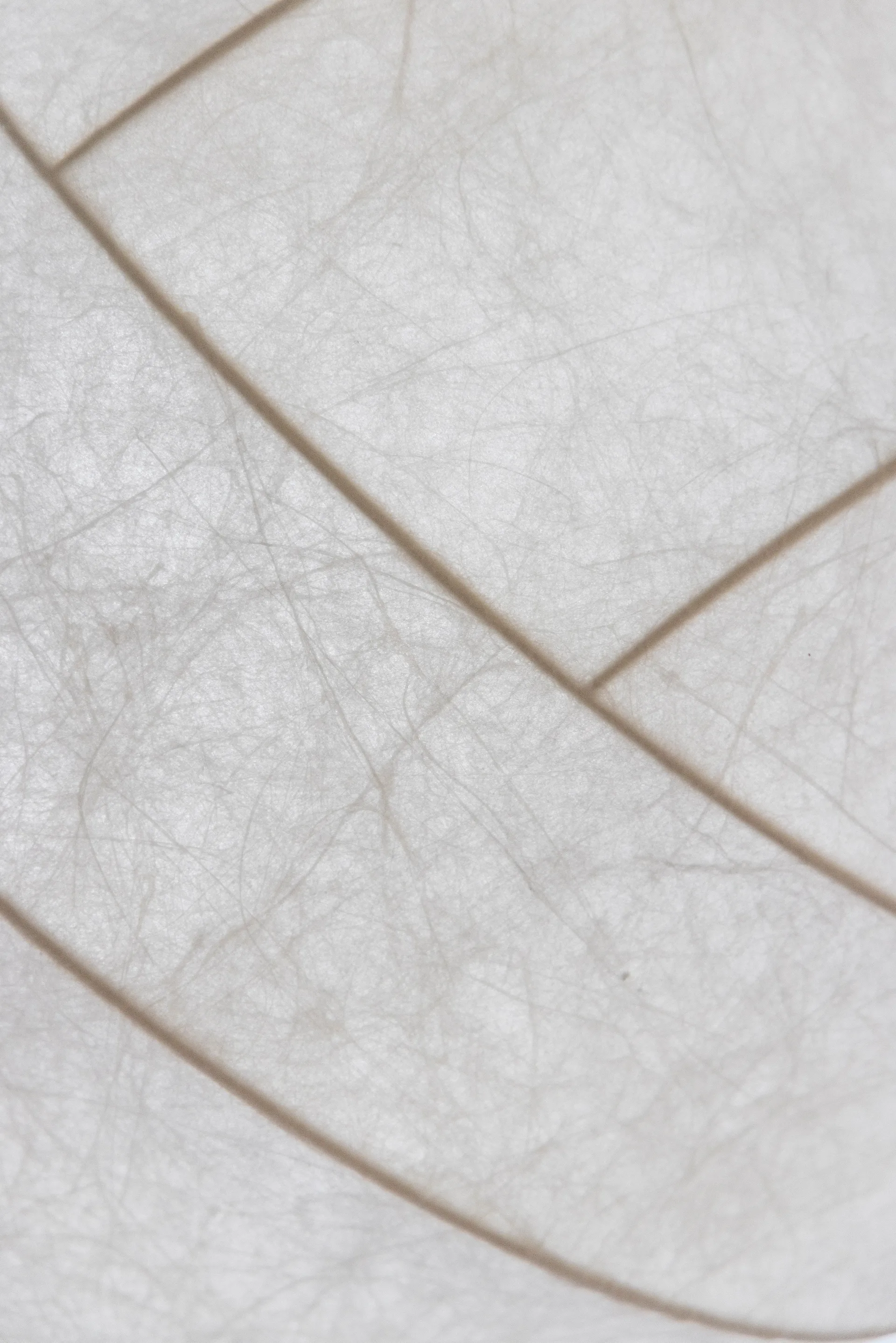 Lampa wisząca Turner 80, Biały Pholc