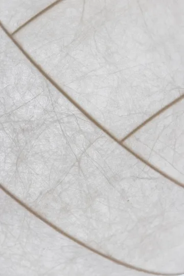 Lampa wisząca Turner 80 - Biały - Pholc