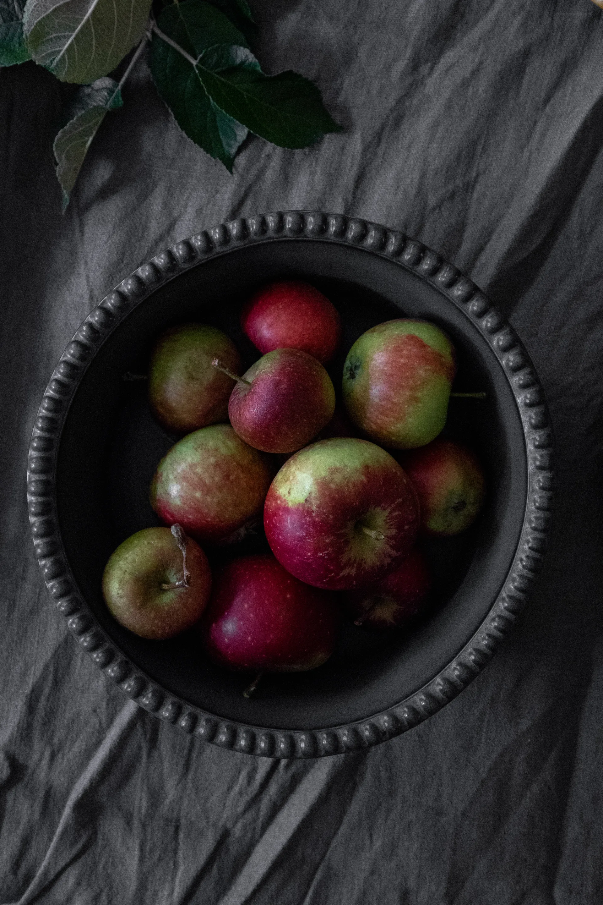 Miska Daria Ø23 cm kamionka, Ink black PotteryJo