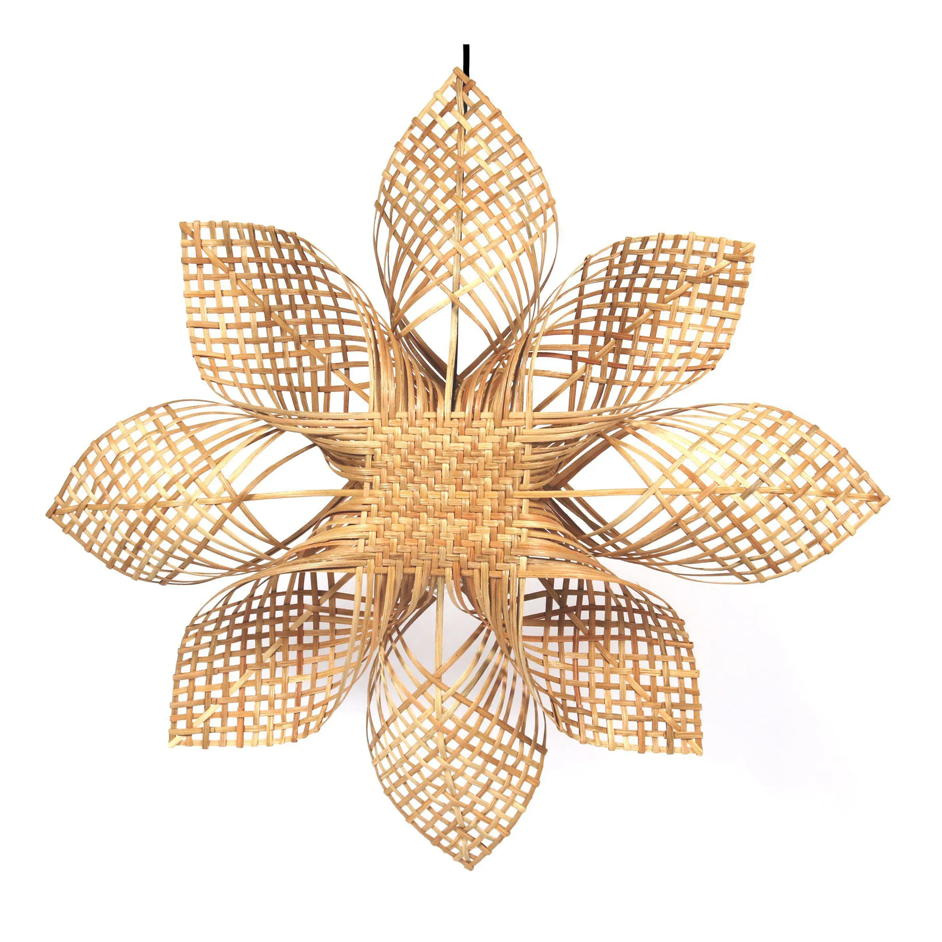 Anna gwiazda choinkowa Natura, 68 cm PR Home