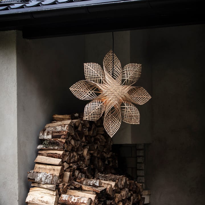 Anna gwiazda choinkowa Natura, 68 cm PR Home