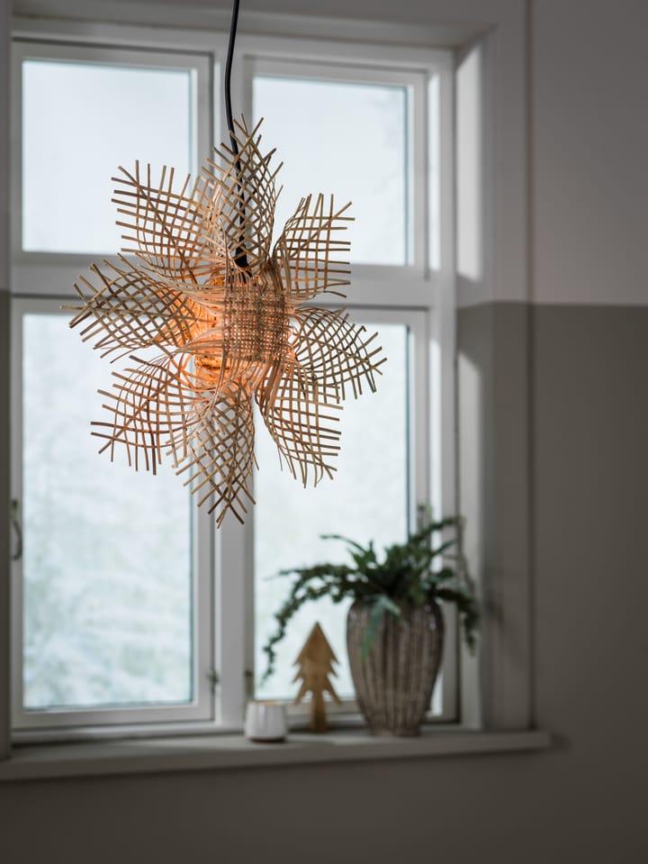 Carol gwiazda adwentowa Natura, 46 cm PR Home