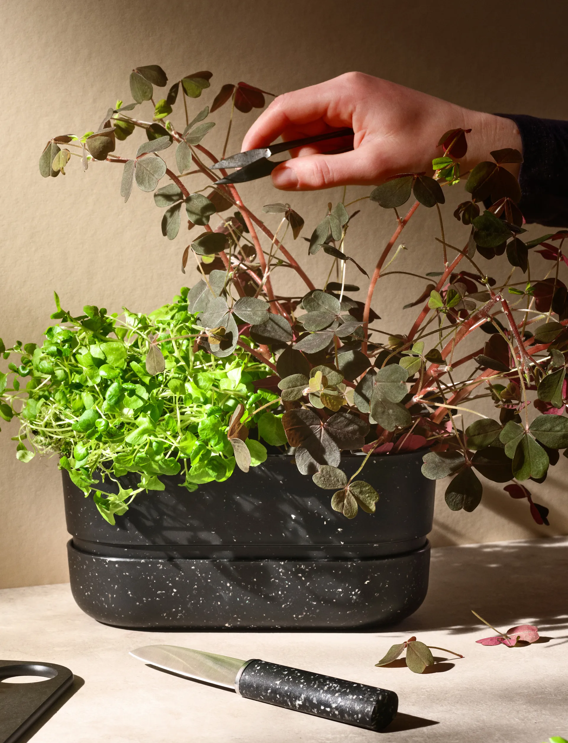 Doniczka do ziół POT-IT 22,2 cm, Black RIG-TIG