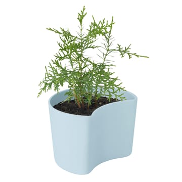 YOUR TREE doniczka z nasionami - Niebieski (Tall) - RIG-TIG