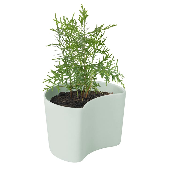 YOUR TREE doniczka z nasionami, Zielony (Tall) RIG-TIG