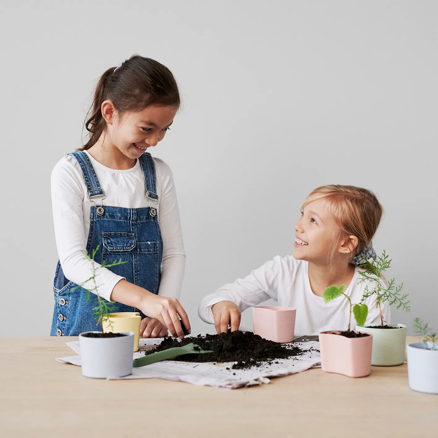 YOUR TREE doniczka z nasionami, Zielony (Tall) RIG-TIG