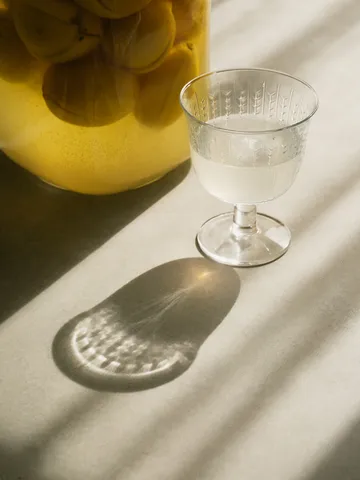 Swedish Grace kieliszki na nóżce 250 ml, 2‑pak - Przezroczysty - Rörstrand