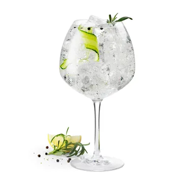 Premium kieliszki do ginu 930 ml, zestaw 2 szt. - Przezroczysty - Rosendahl
