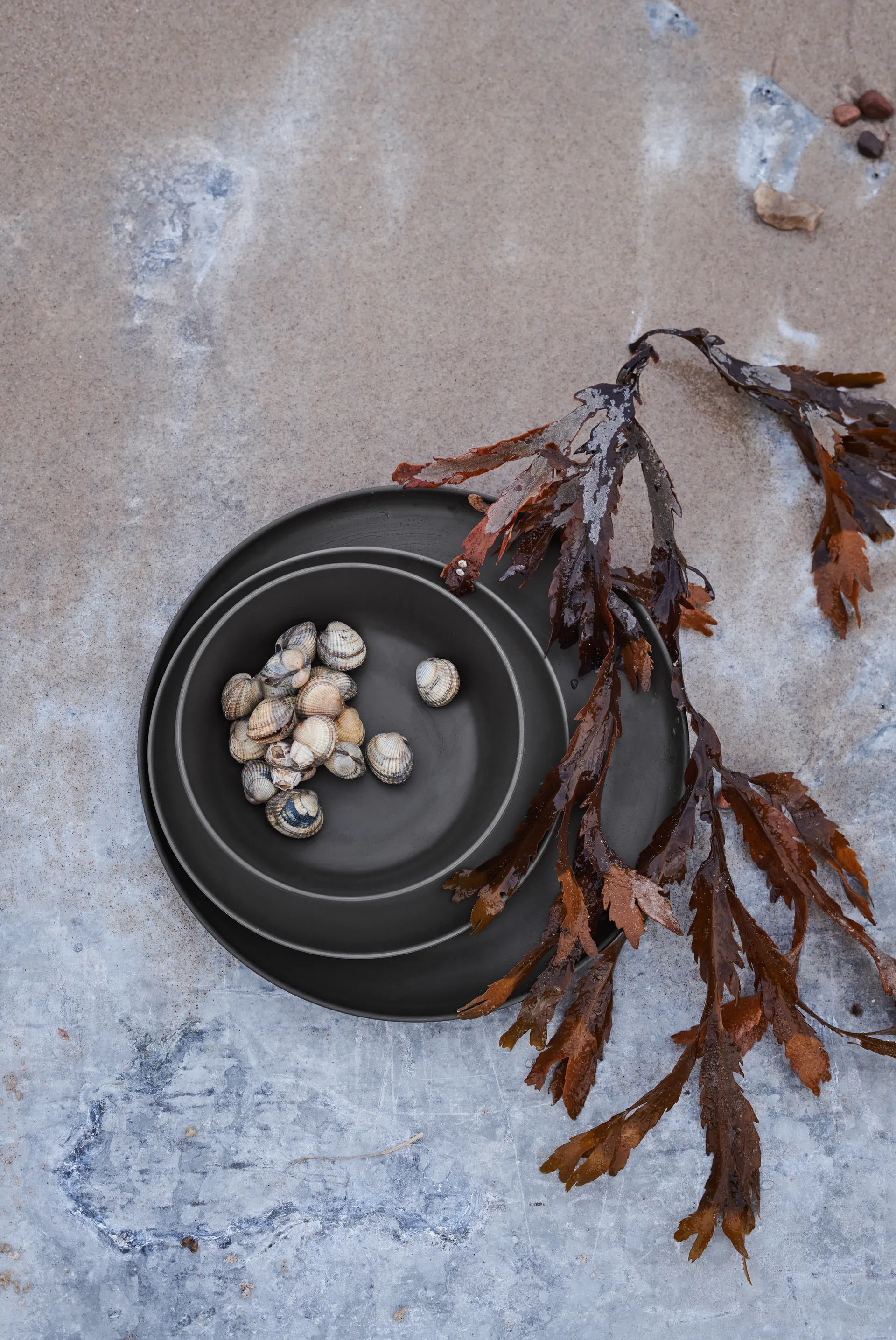 Talerz z melaminy Grand Cru Take Ø26 cm, 2-pak, Szary Rosendahl