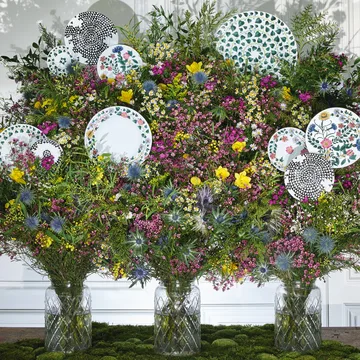 Magic Garden Foliage talerz 21 cm - Biało-zielony - Rosenthal