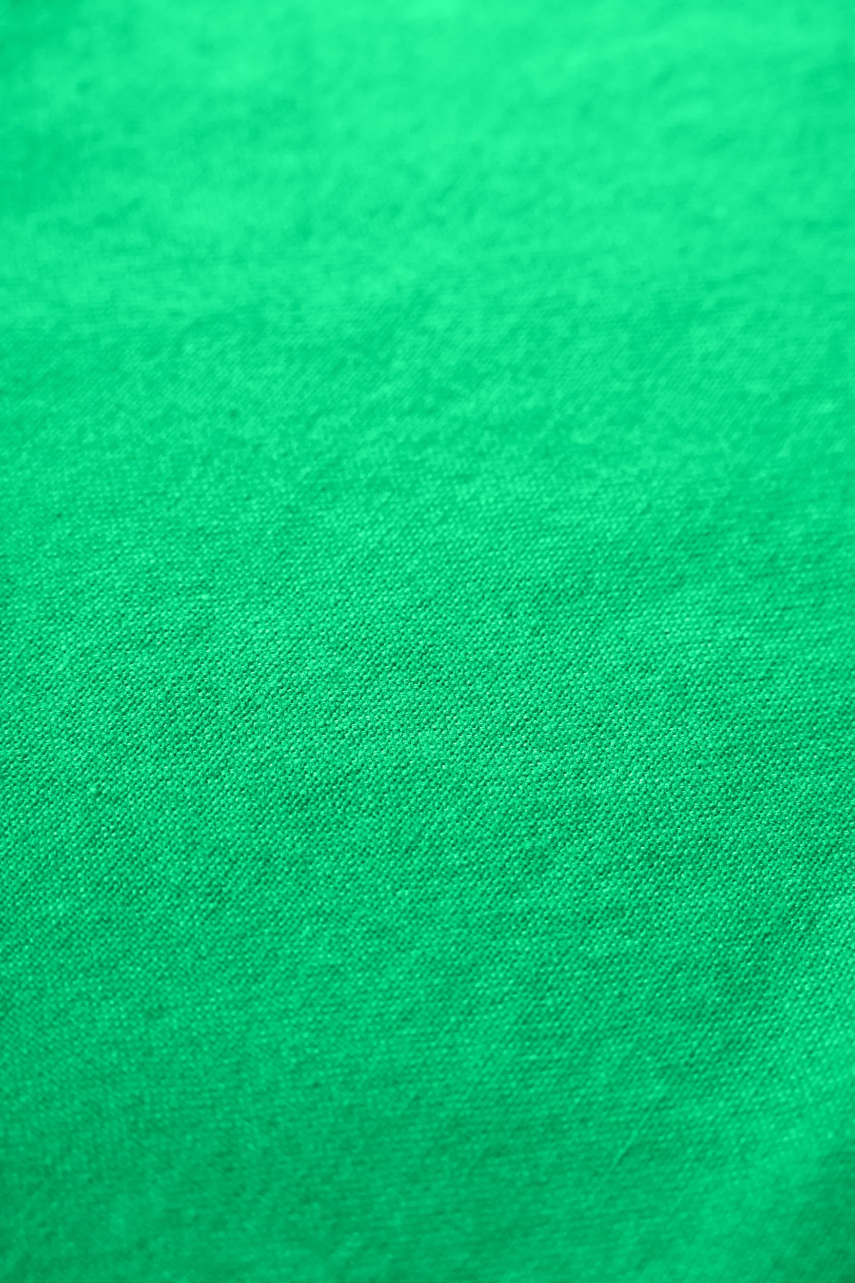 Rug Solid ręcznik kuchenny 50x70 cm, Racing green Rug Solid