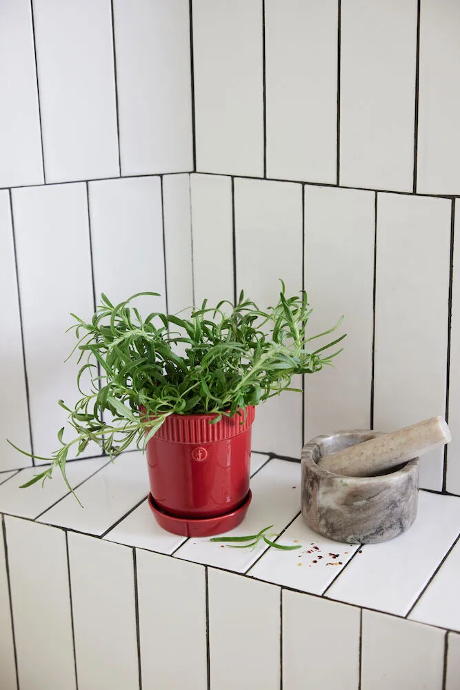 Doniczka na zioła Elise Ø11 cm, Bordowa Sagaform