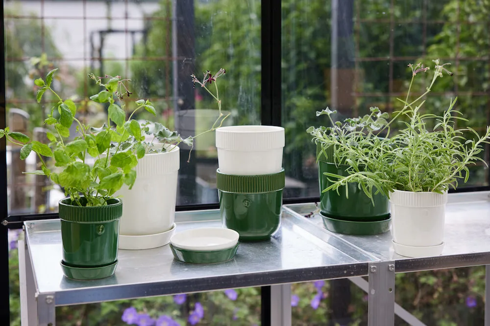 Doniczka na zioła Elise Ø11 cm, Zielona Sagaform