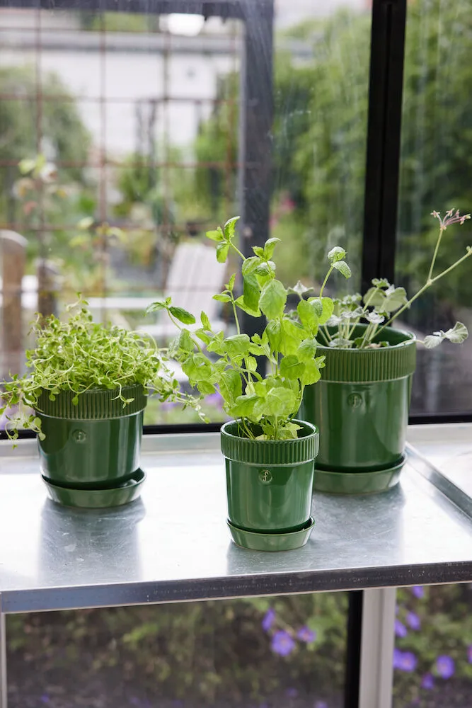 Doniczka na zioła Elise Ø11 cm, Zielona Sagaform