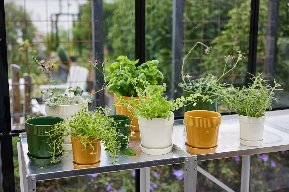 Doniczka na zioła Elise Ø11 cm, Zielona Sagaform