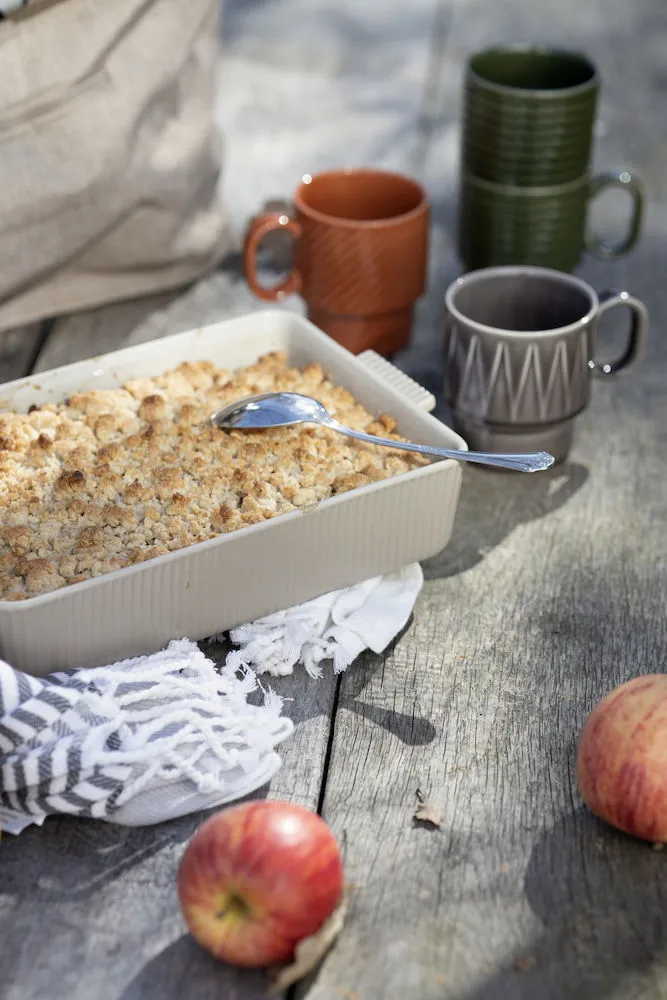 Flora naczynie do piekarnika beżowe, 29,5x18,5 cm Sagaform