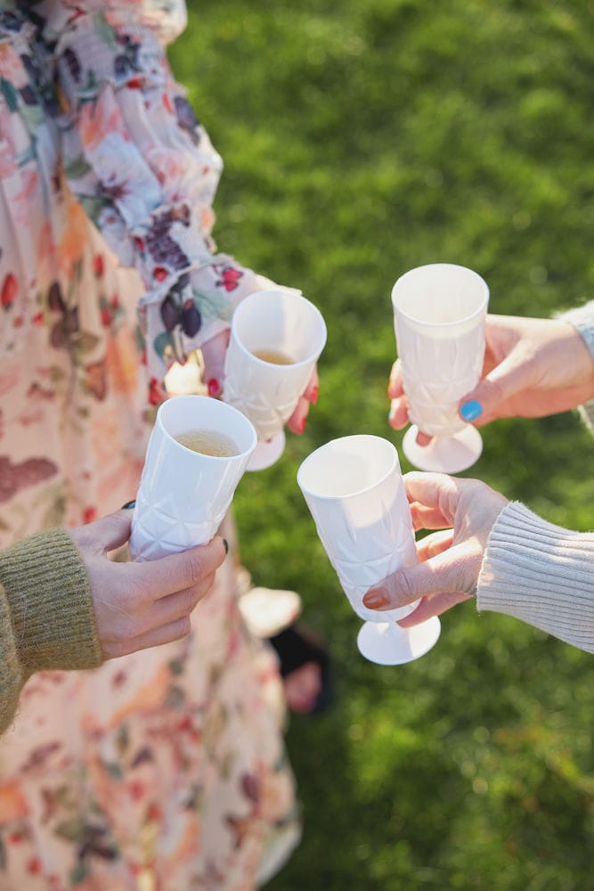 Kieliszek do szampana Picknick 4-pak, Biały Sagaform