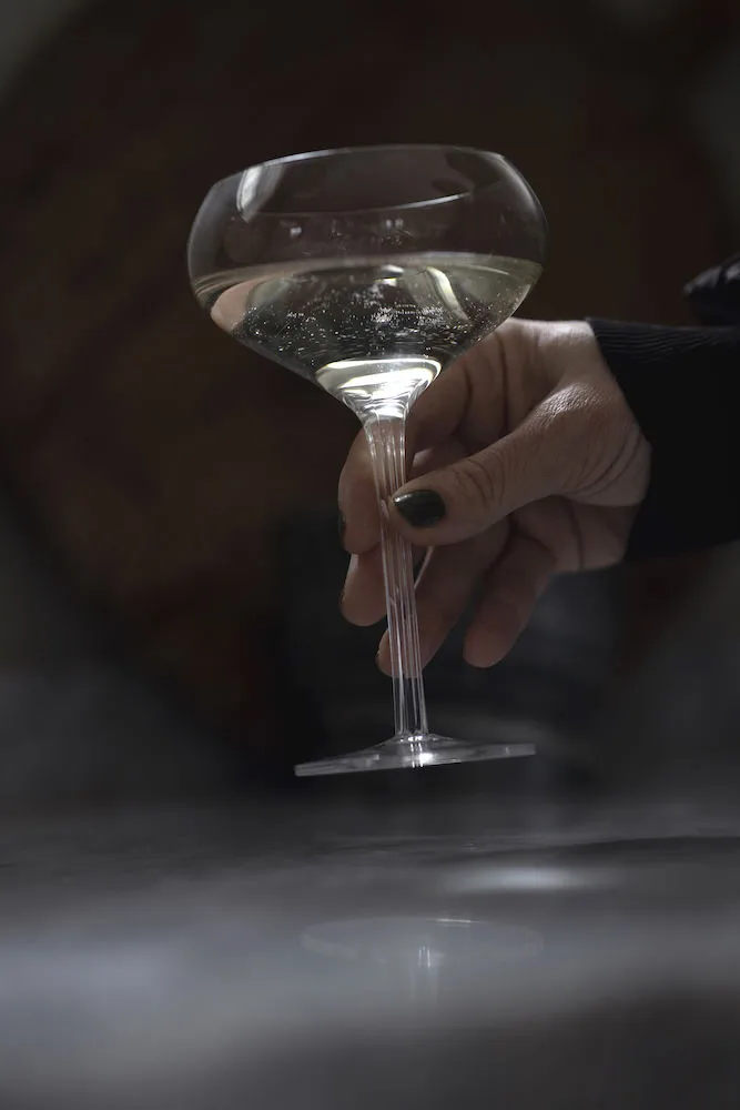 Kieliszek koktajlowy Saga 2-pak, Przezroczysty Sagaform