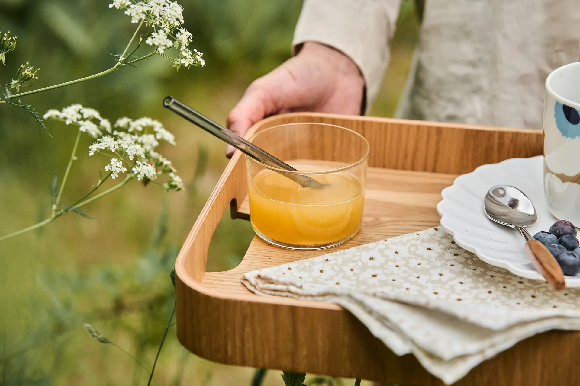 Taca Hanna, Brązowy Sagaform