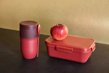 Termos obiadowy / kubek na jogurt Ted z łyżeczką - Bordowy Pantone 7624C, 320 ml - Sagaform