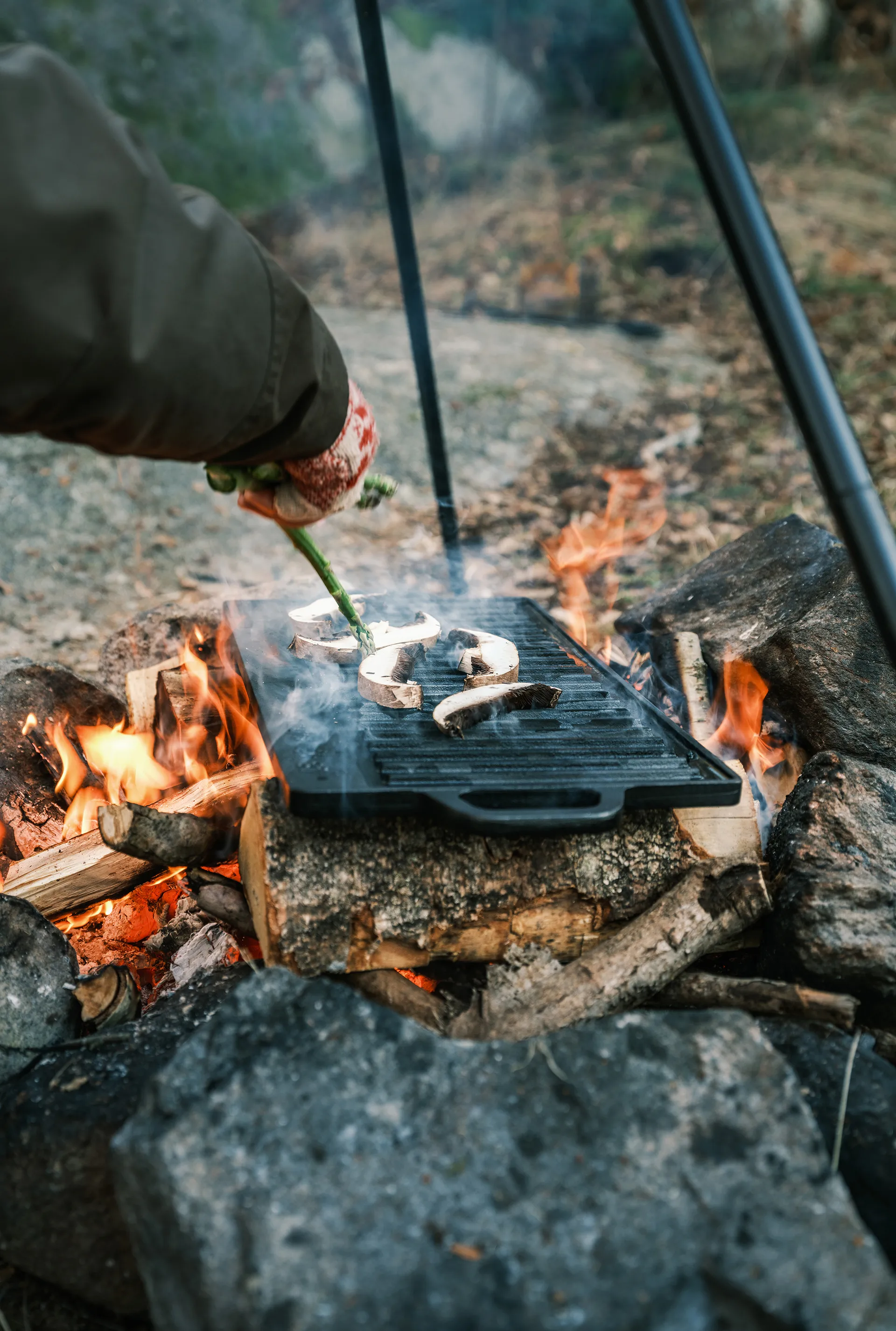 Taca do grillowania Satake, 23x42 cm Satake