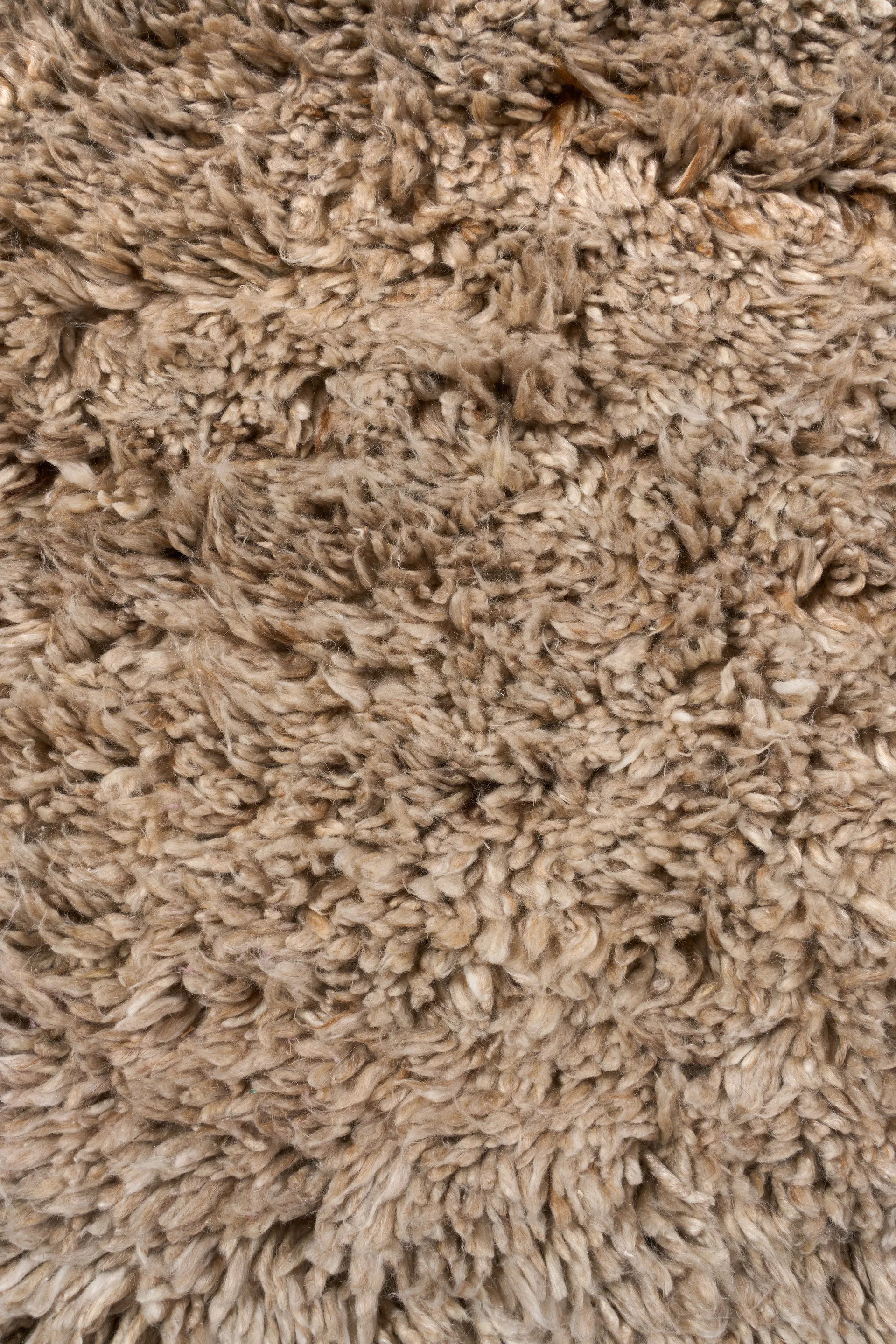 Dywan wełniany Cozy, Hazel, 170x240 cm Scandi Living