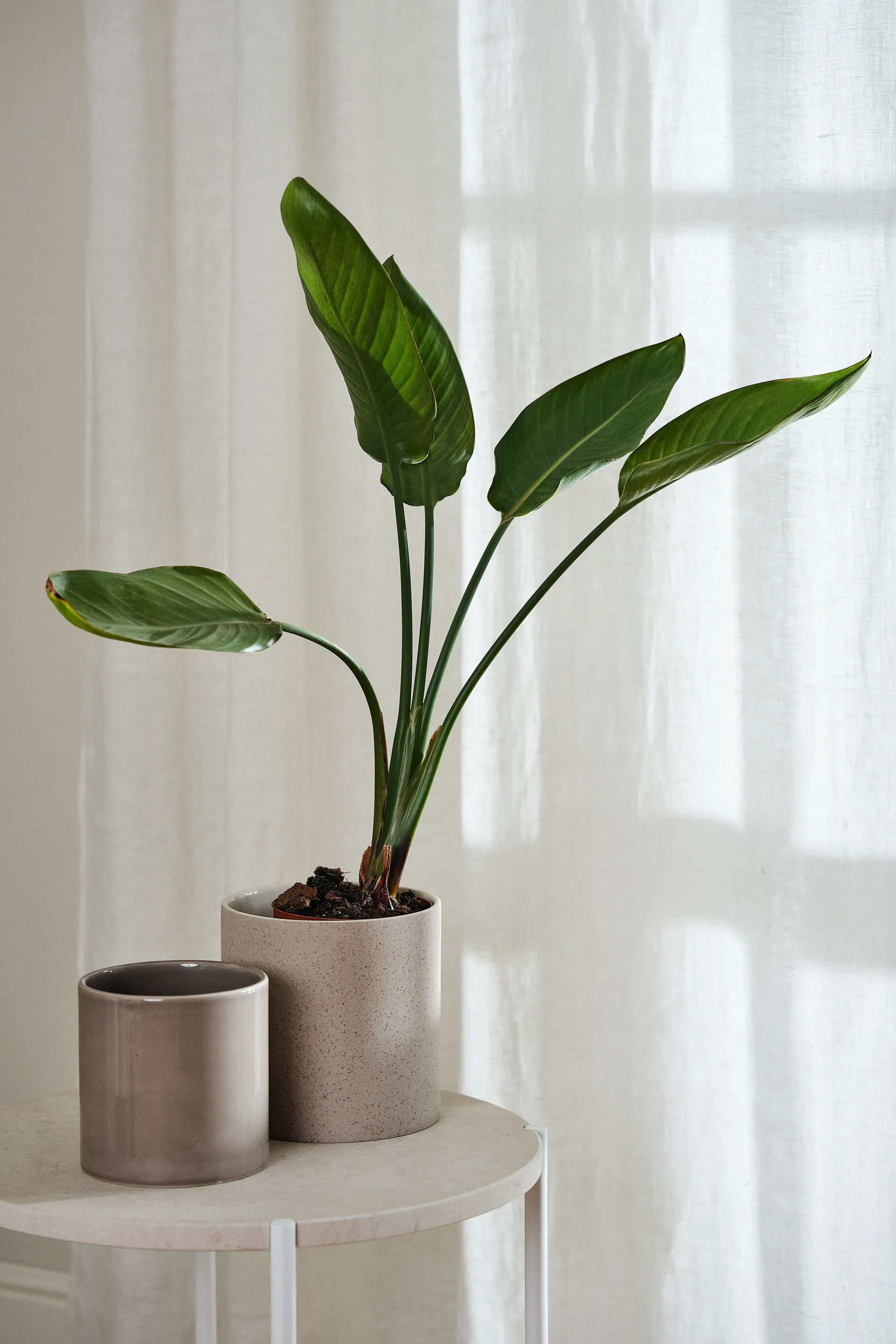 Firanka szeroka Tranquility 139x250 cm, Biały Scandi Living