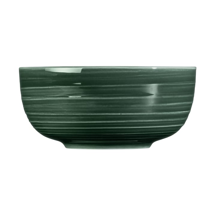 Terra miska Ø15 cm 4 szt, Moss Green Seltmann Weiden