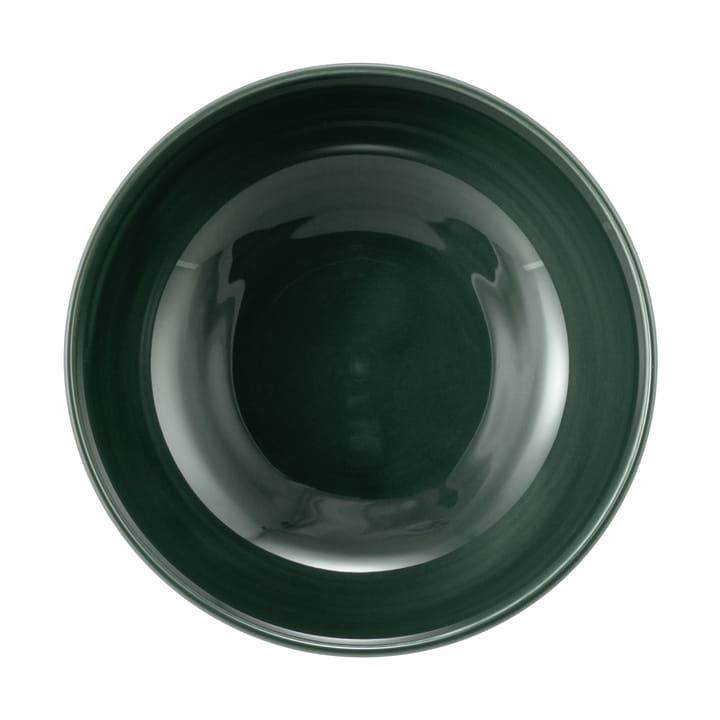 Terra miska Ø15 cm 4 szt, Moss Green Seltmann Weiden