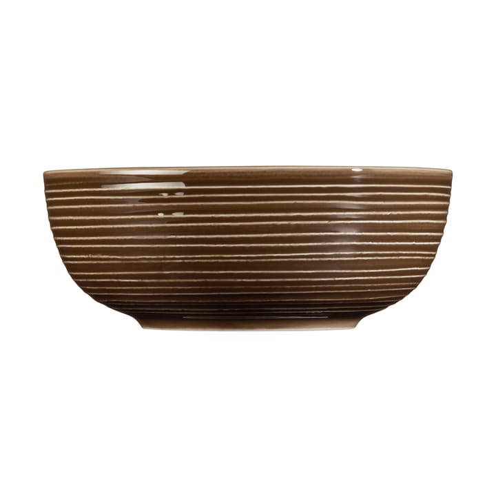 Terra miska Ø20,4 cm 2 szt, Earth Brown Seltmann Weiden
