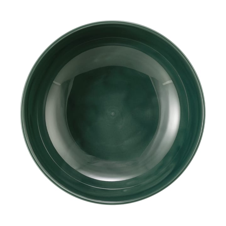 Terra miska Ø20,4 cm 2 szt, Moss Green Seltmann Weiden
