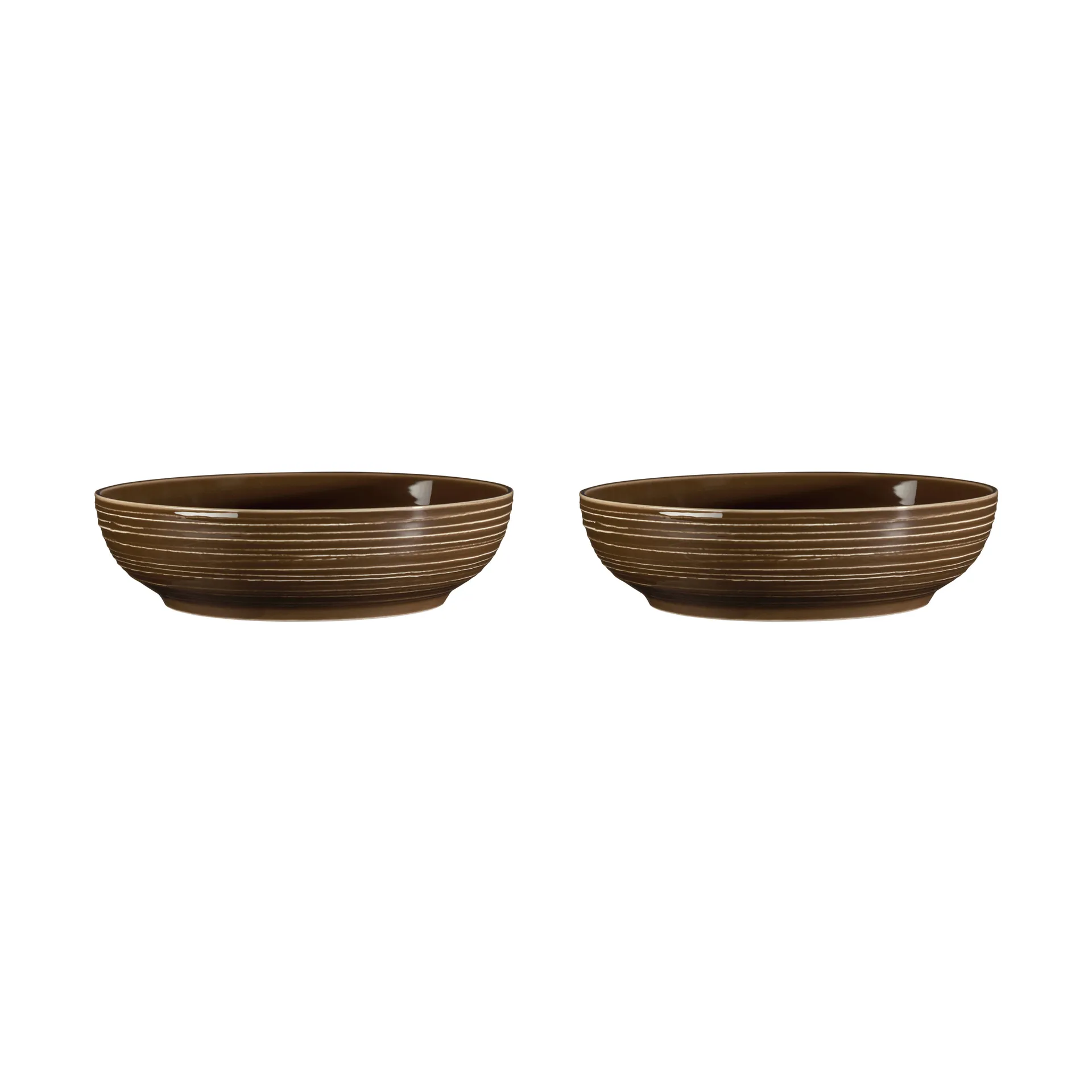Terra miska Ø25,5 cm 2 szt, Earth Brown Seltmann Weiden