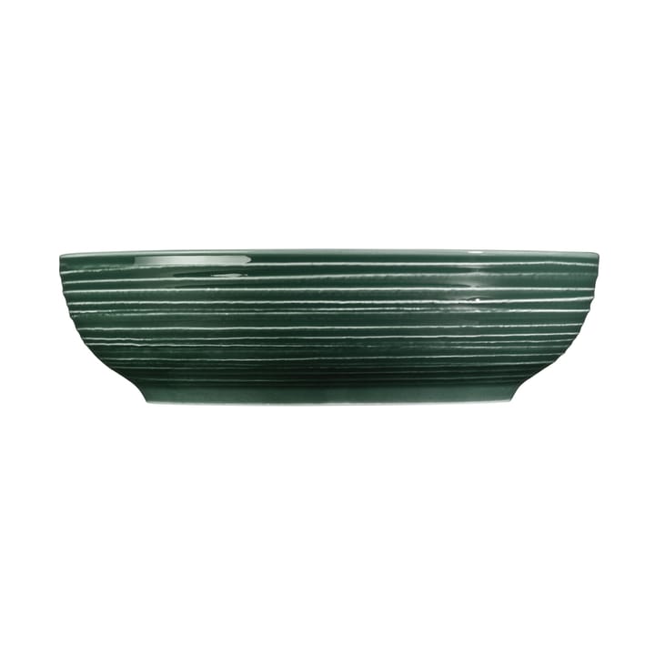 Terra miska Ø25,5 cm 2 szt, Moss Green Seltmann Weiden
