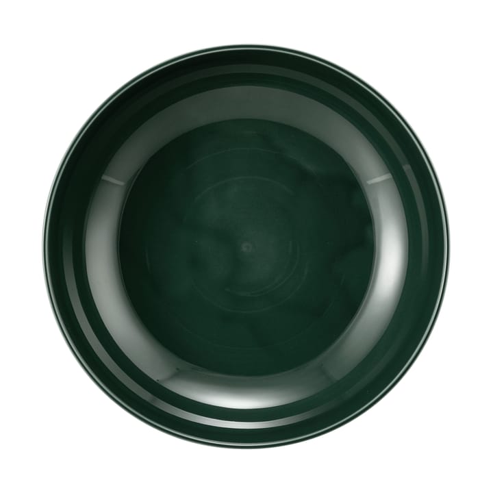 Terra miska Ø25,5 cm 2 szt, Moss Green Seltmann Weiden