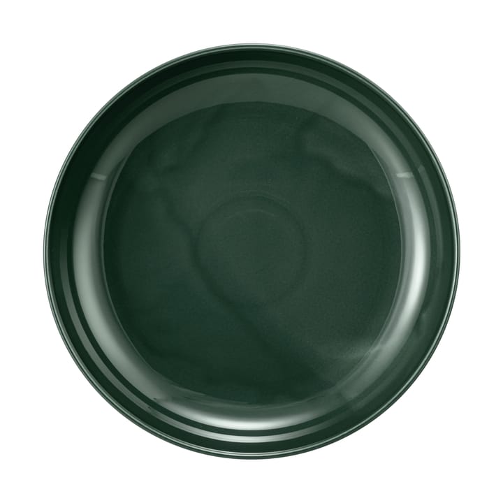 Terra miska Ø28 cm 2 szt, Moss Green Seltmann Weiden