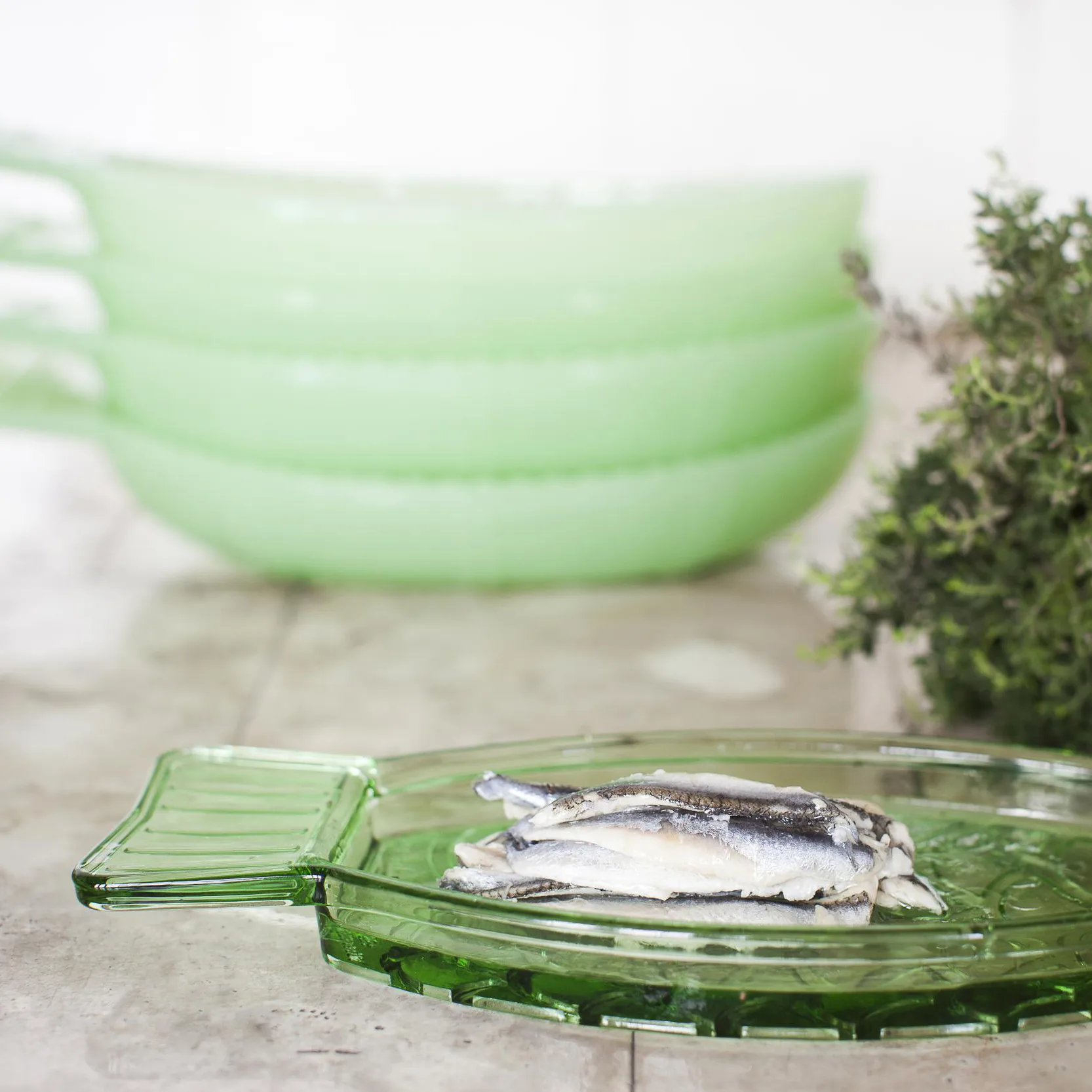 Fish & Fish plate 10x23 cm, Green Serax