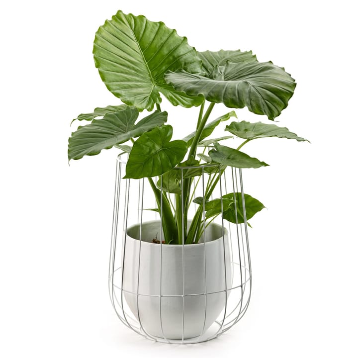 Serax doniczka w koszyku Ø37 cm w46 cm, Bia�ły Serax