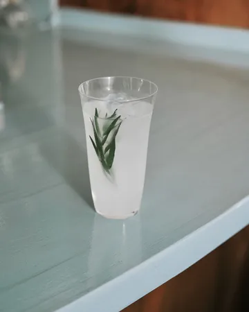 Silhouette longdrink, szklanki 440 ml, 4‑pak - Clear - Serax