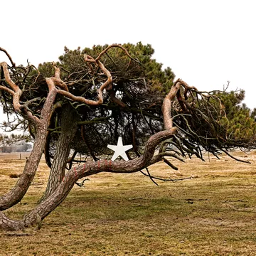 Gwiazda Adwentowa Adventsstjärna - szary, 40 cm,jasnoszary przewód tekstylny - SMD Design