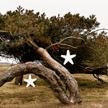 Gwiazda Adwentowa Adventsstjärna - szary, 40 cm,jasnoszary przewód tekstylny - SMD Design