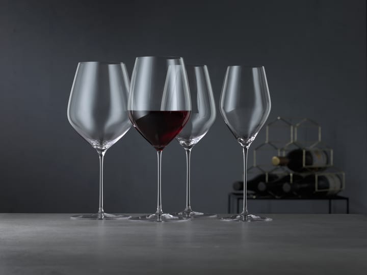 Kieliszek do wina HI-LITE Universal 48 cl, 2 szt., Jasny Spiegelau