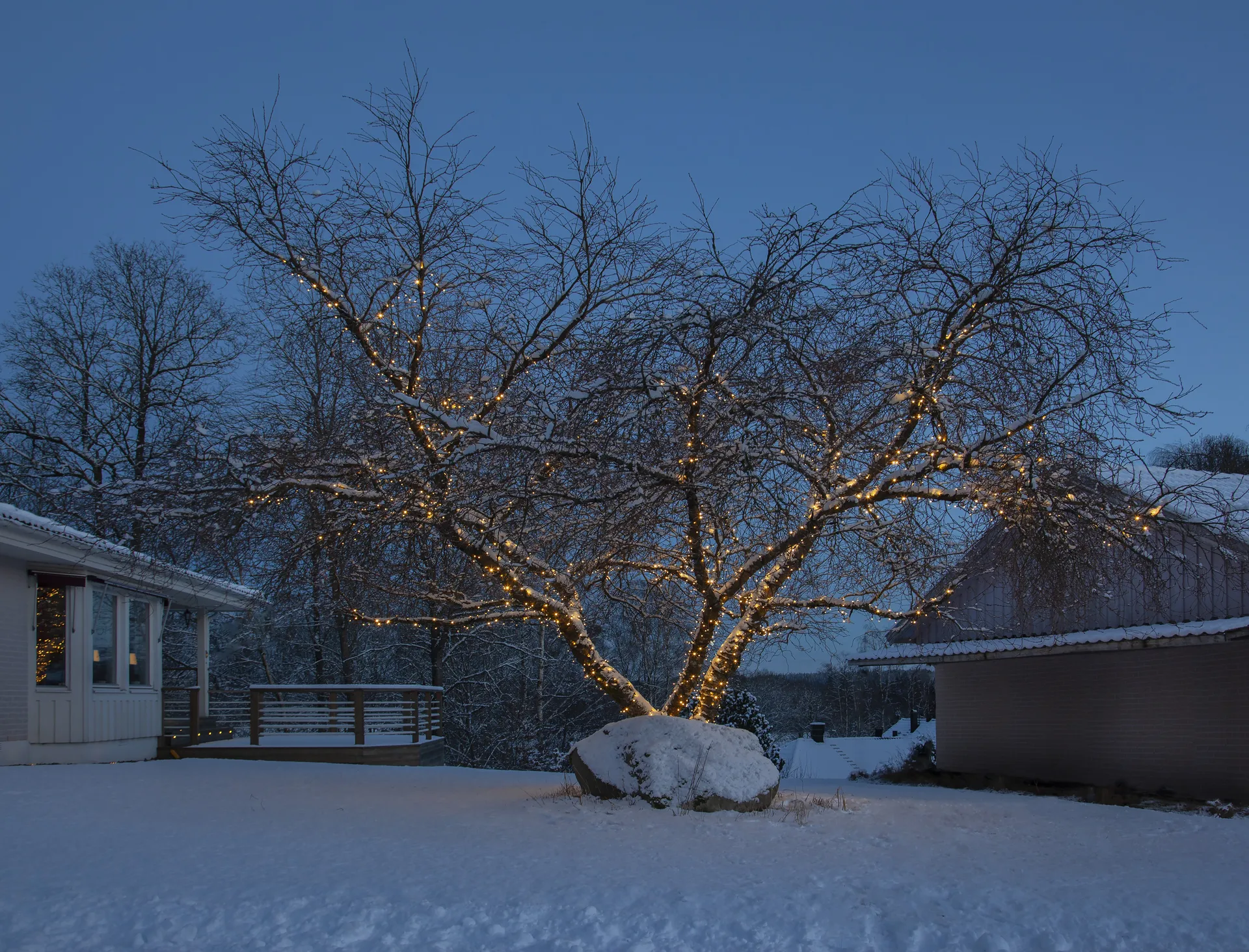 Star Trading kabel startowy system LED, 180 cm Star Trading