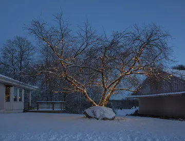 Star Trading kabel startowy system LED - 180 cm - Star Trading