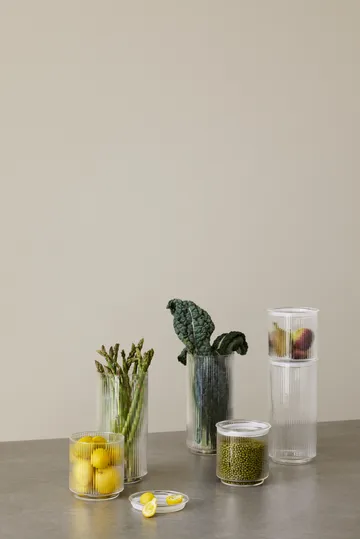 Pojemnik Pilastro clear - 0,6 L - Stelton